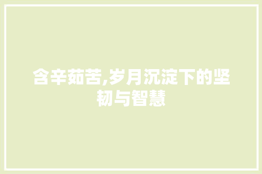 含辛茹苦,岁月沉淀下的坚韧与智慧