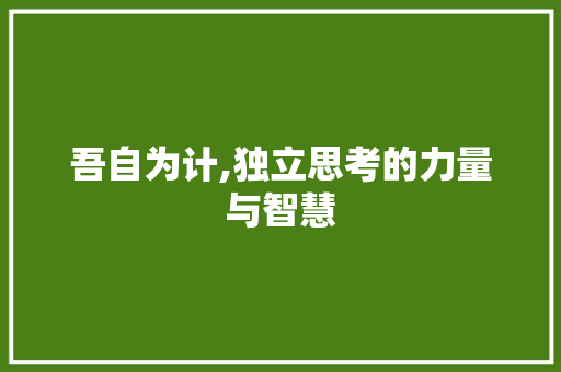 吾自为计,独立思考的力量与智慧 简历模板