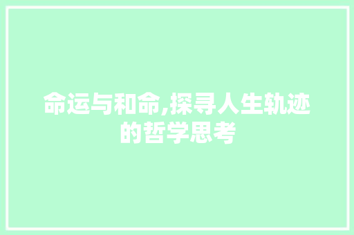 命运与和命,探寻人生轨迹的哲学思考