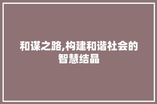 和谋之路,构建和谐社会的智慧结晶