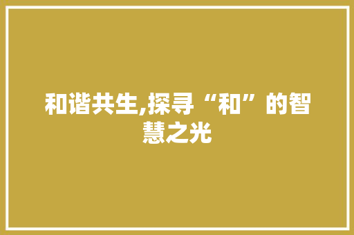 和谐共生,探寻“和”的智慧之光