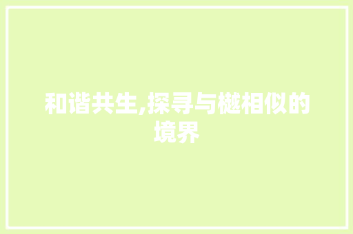 和谐共生,探寻与樾相似的境界