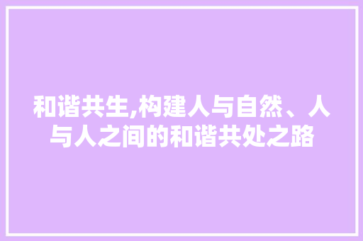 和谐共生,构建人与自然、人与人之间的和谐共处之路