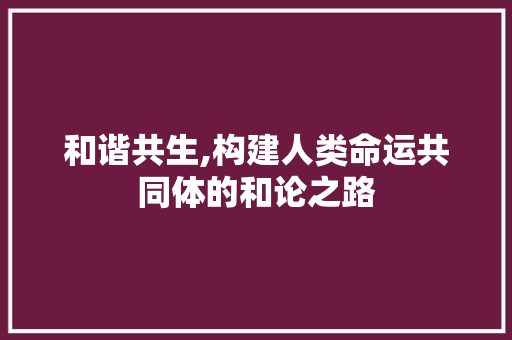 和谐共生,构建人类命运共同体的和论之路