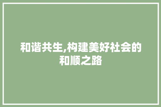 和谐共生,构建美好社会的和顺之路 词汇积累