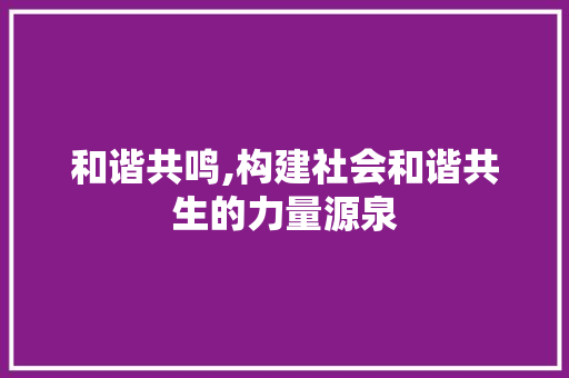 和谐共鸣,构建社会和谐共生的力量源泉