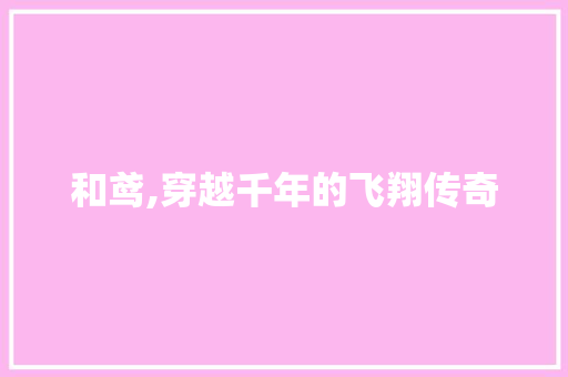 和鸢,穿越千年的飞翔传奇