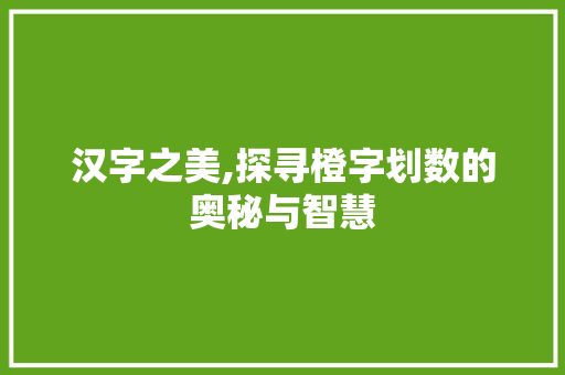 汉字之美,探寻橙字划数的奥秘与智慧