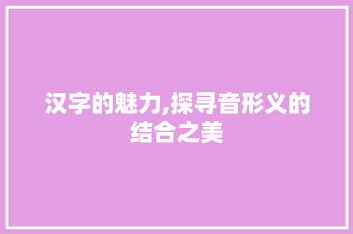 汉字的魅力,探寻音形义的结合之美