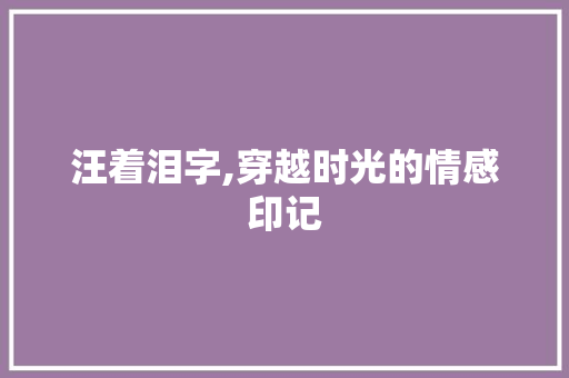 汪着泪字,穿越时光的情感印记