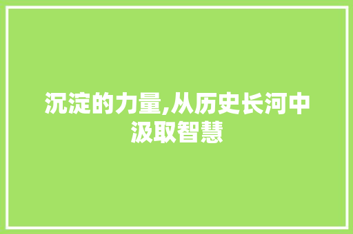 沉淀的力量,从历史长河中汲取智慧
