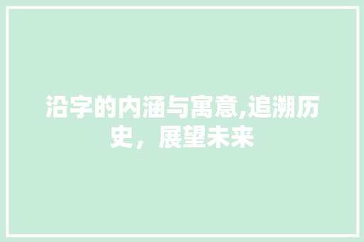 沿字的内涵与寓意,追溯历史，展望未来