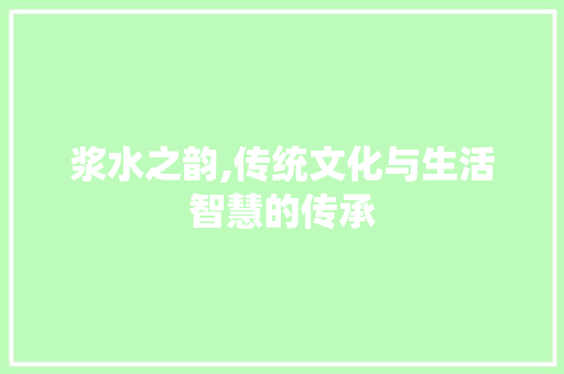 浆水之韵,传统文化与生活智慧的传承