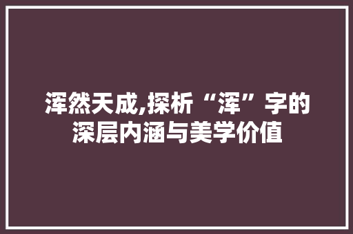 浑然天成,探析“浑”字的深层内涵与美学价值