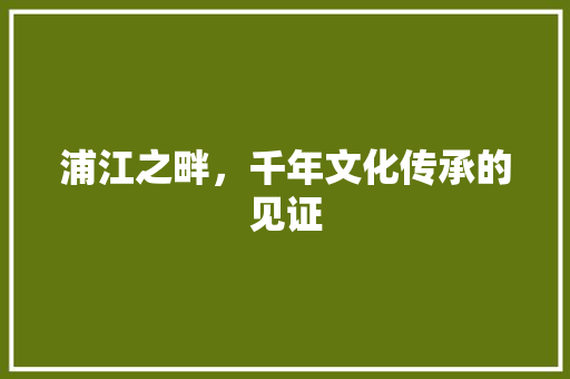 浦江之畔，千年文化传承的见证
