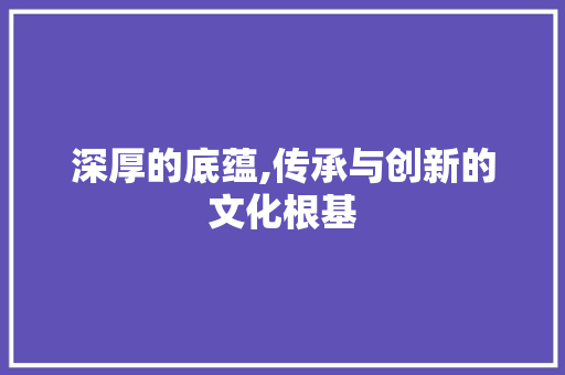 深厚的底蕴,传承与创新的文化根基 简历模板