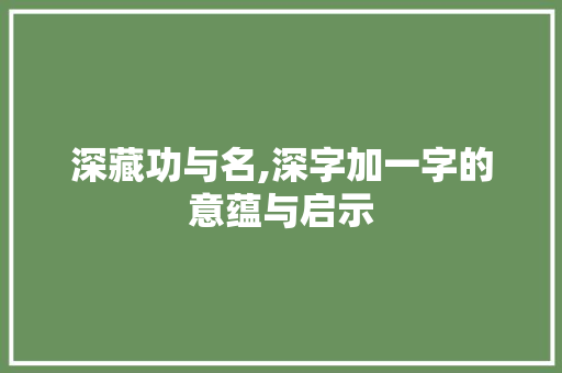 深藏功与名,深字加一字的意蕴与启示