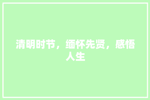 清明时节，缅怀先贤，感悟人生