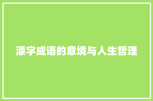 漂字成语的意境与人生哲理