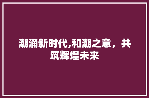 潮涌新时代,和潮之意，共筑辉煌未来
