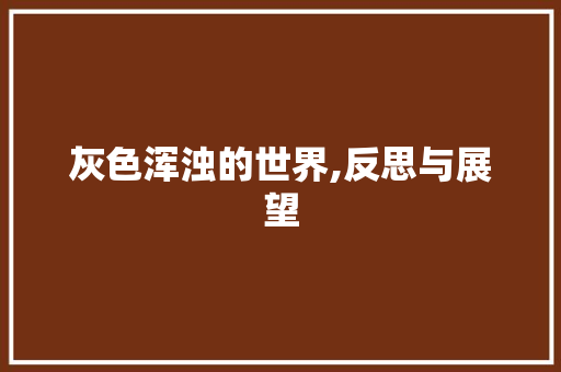 灰色浑浊的世界,反思与展望