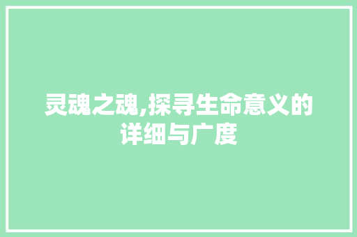 灵魂之魂,探寻生命意义的详细与广度