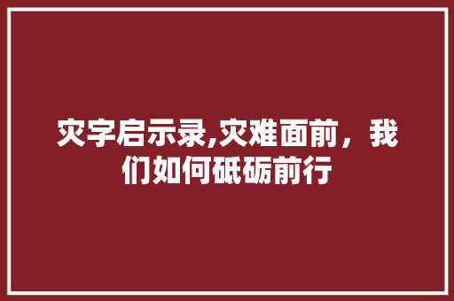 灾字启示录,灾难面前，我们如何砥砺前行