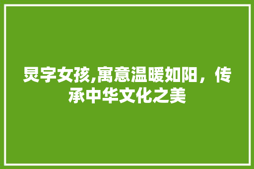 炅字女孩,寓意温暖如阳，传承中华文化之美