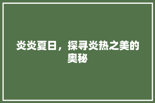 炎炎夏日，探寻炎热之美的奥秘