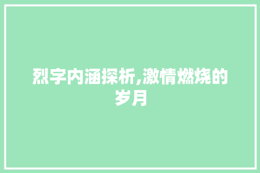 烈字内涵探析,激情燃烧的岁月