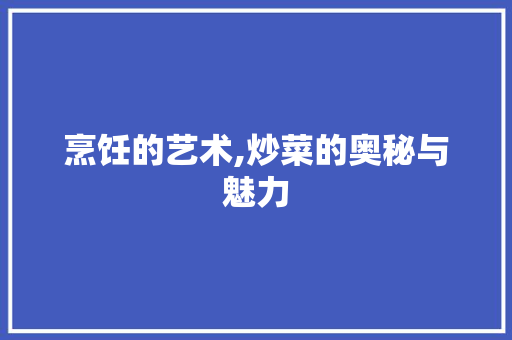烹饪的艺术,炒菜的奥秘与魅力