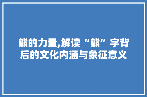 熊的力量,解读“熊”字背后的文化内涵与象征意义