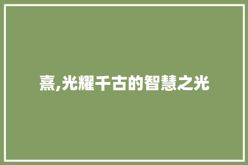 熹,光耀千古的智慧之光