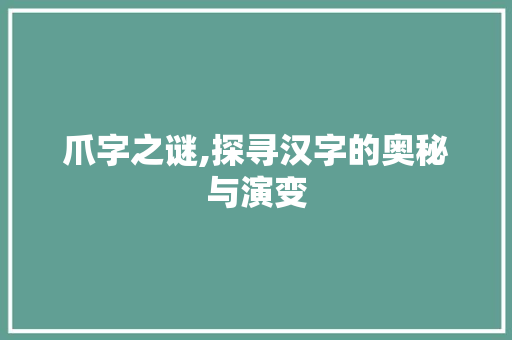 爪字之谜,探寻汉字的奥秘与演变
