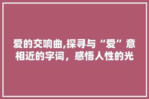 爱的交响曲,探寻与“爱”意相近的字词，感悟人性的光辉