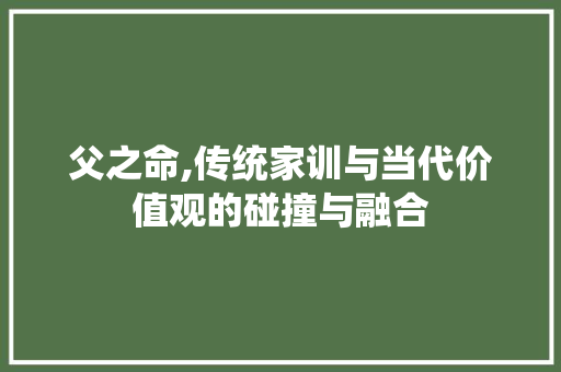父之命,传统家训与当代价值观的碰撞与融合