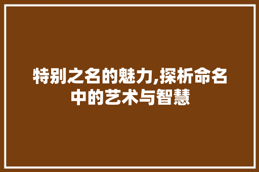 特别之名的魅力,探析命名中的艺术与智慧