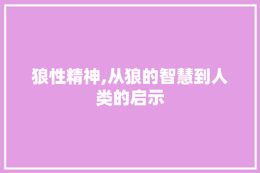 狼性精神,从狼的智慧到人类的启示