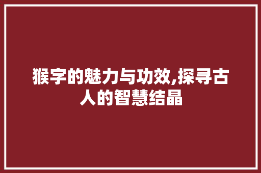 猴字的魅力与功效,探寻古人的智慧结晶