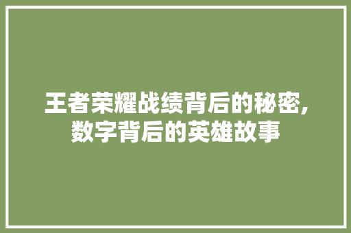 王者荣耀战绩背后的秘密,数字背后的英雄故事
