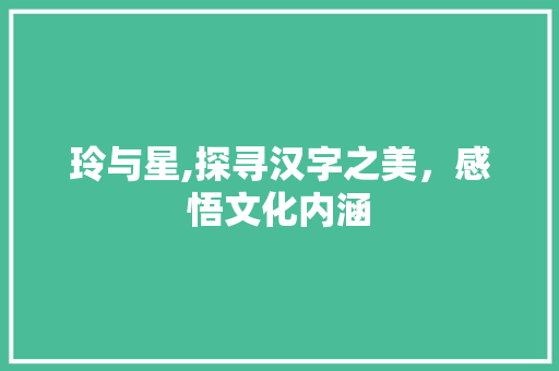 玲与星,探寻汉字之美，感悟文化内涵