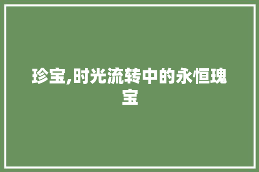 珍宝,时光流转中的永恒瑰宝