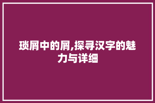 琐屑中的屑,探寻汉字的魅力与详细