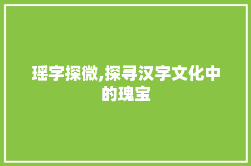 瑶字探微,探寻汉字文化中的瑰宝 报告写作