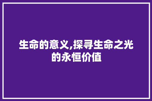生命的意义,探寻生命之光的永恒价值