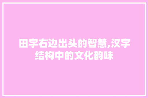 田字右边出头的智慧,汉字结构中的文化韵味