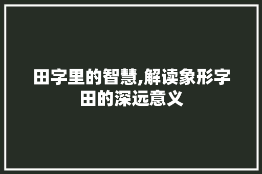 田字里的智慧,解读象形字田的深远意义