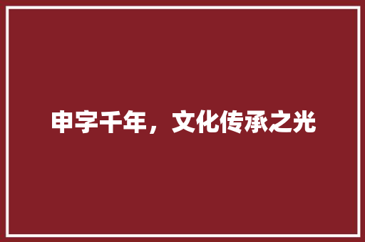 申字千年，文化传承之光 报告写作