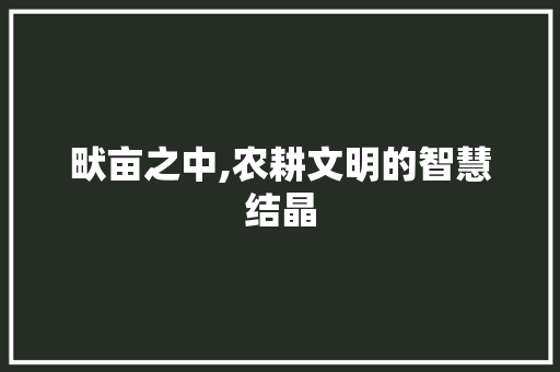 畎亩之中,农耕文明的智慧结晶