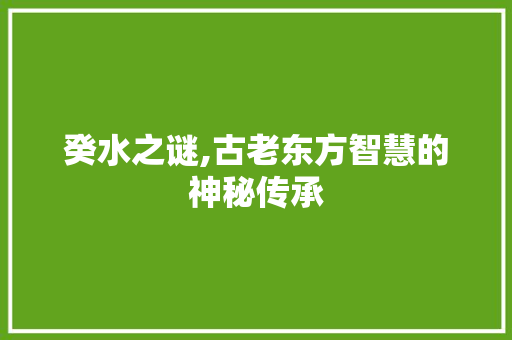 癸水之谜,古老东方智慧的神秘传承 词汇积累